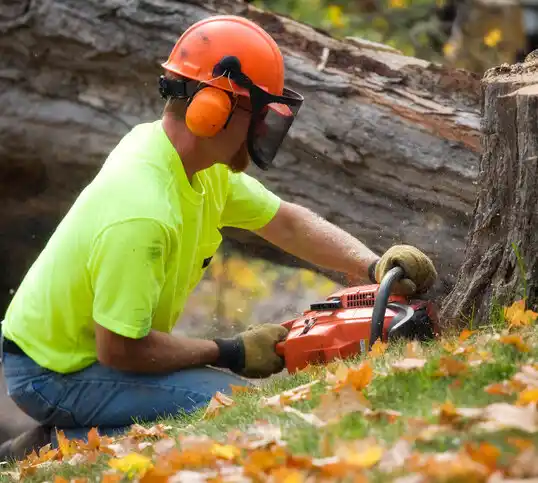 tree services Geneva